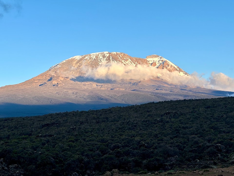 Snow streaks Kilimanjaro above golden clouds and dark green foothills.